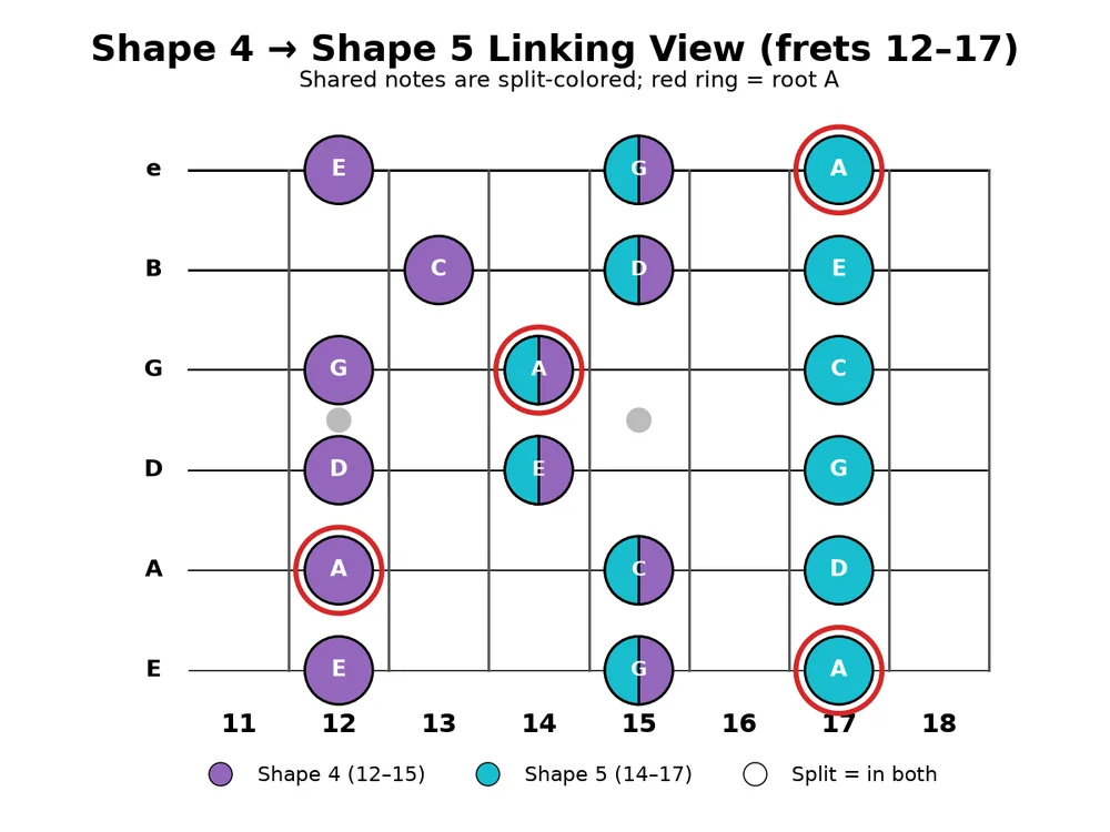Guitar practice 2026-10-24, chart 3: Shape 4 (purple) linking into Shape 5 (teal); split dots are shared notes.